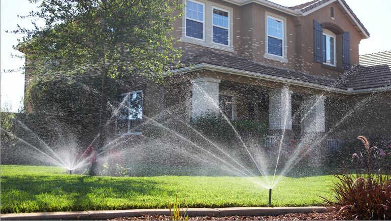 Irrigation treatment in full bloom