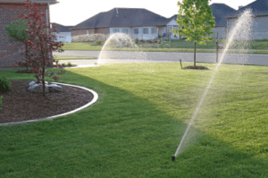 Irrigation treatment in full bloom