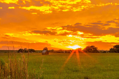 Sunrise Sunrise