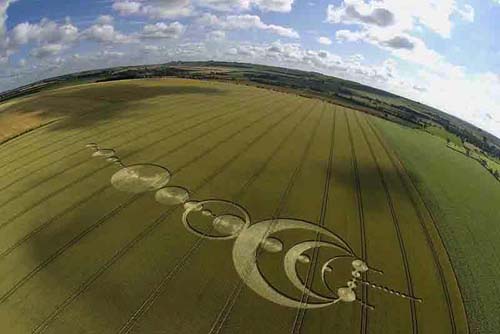 Crop Circle Crop Circle